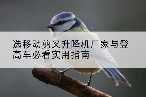 正蓝旗电动升降机厂家-选移动剪叉升降机厂家与登高车必看实用指南