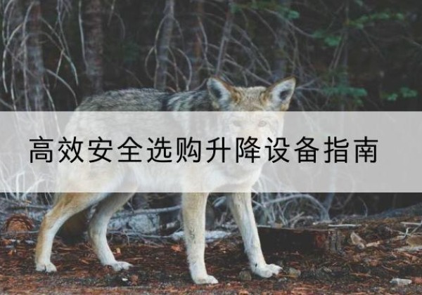 正蓝旗升降货梯厂家推荐-*安全选购升降设备指南