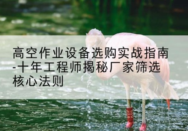 正蓝旗剪叉式升降机厂家-高空作业设备选购实战指南-十年工程师揭秘厂家筛选核心法则